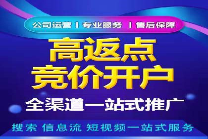 SEM服务优势案例分享